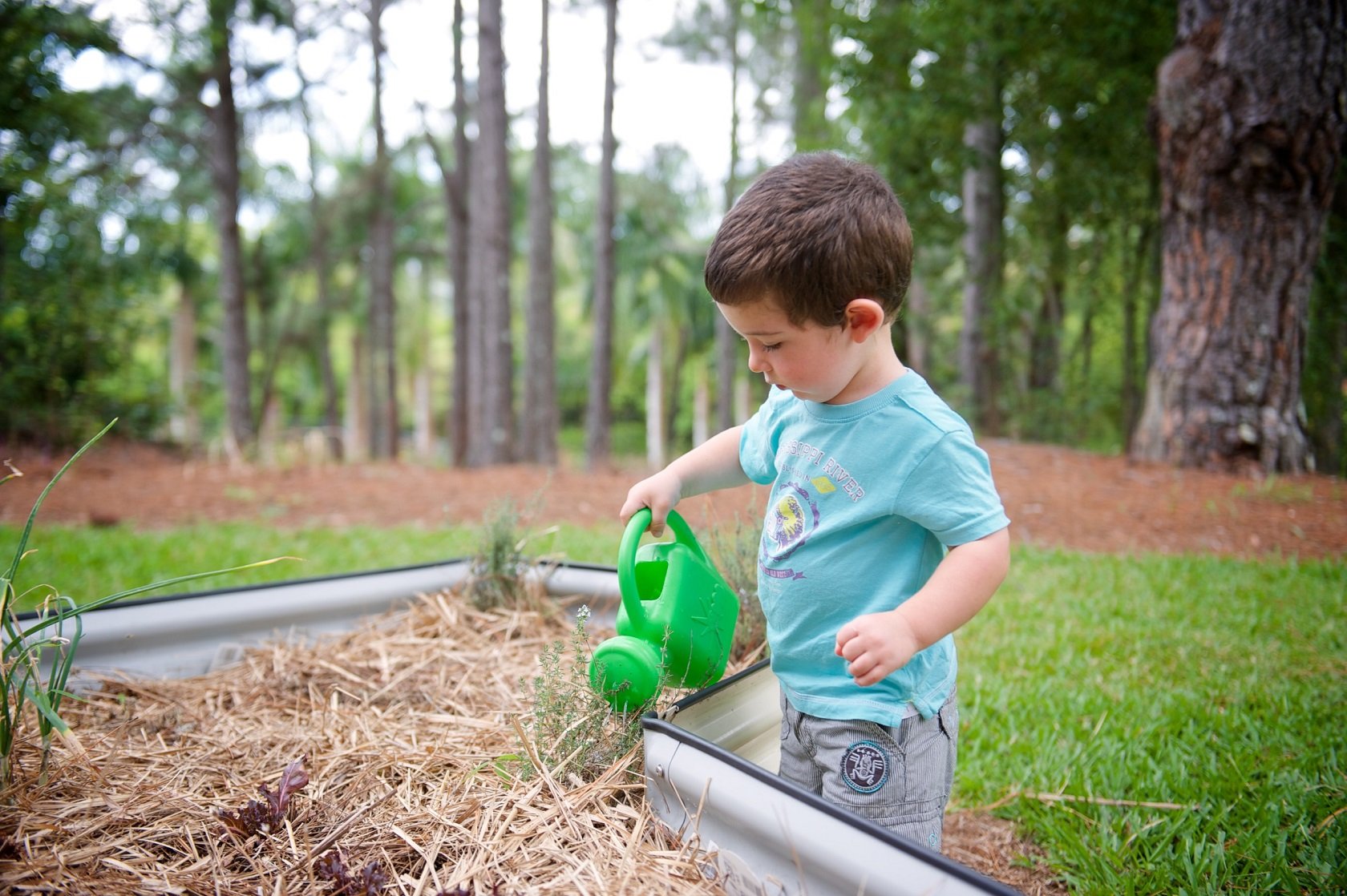 Gardening nature play at the Play Matters Sunshine Coast Hub